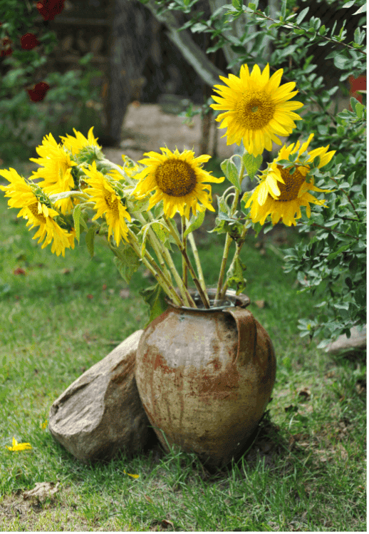 gardening 2