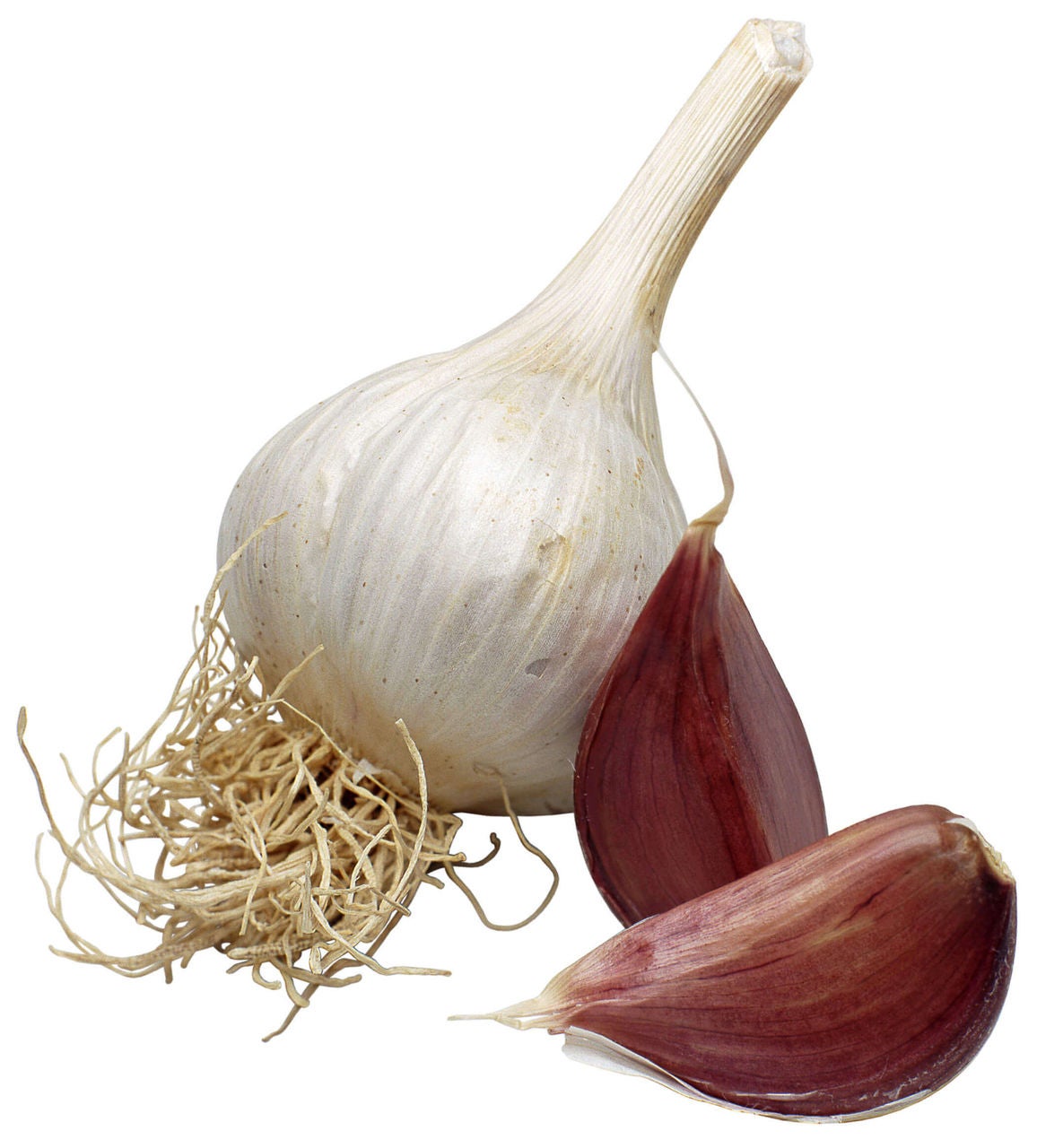 health related onion